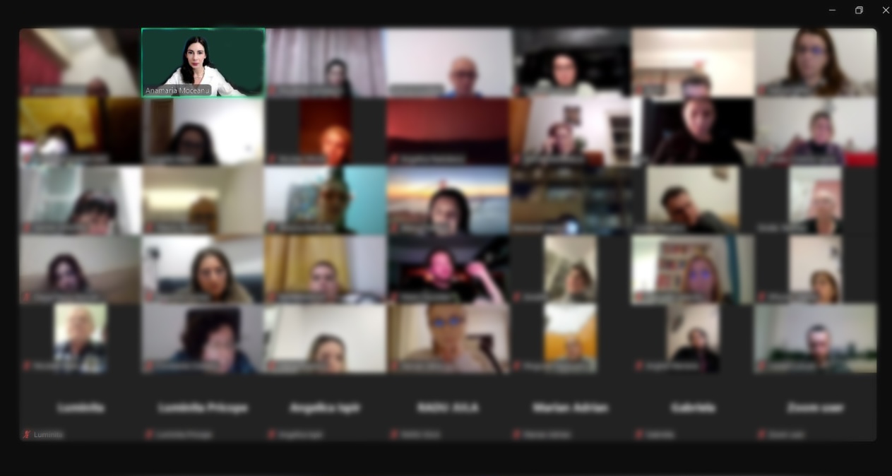 Sesiune de webinar / Webinar session